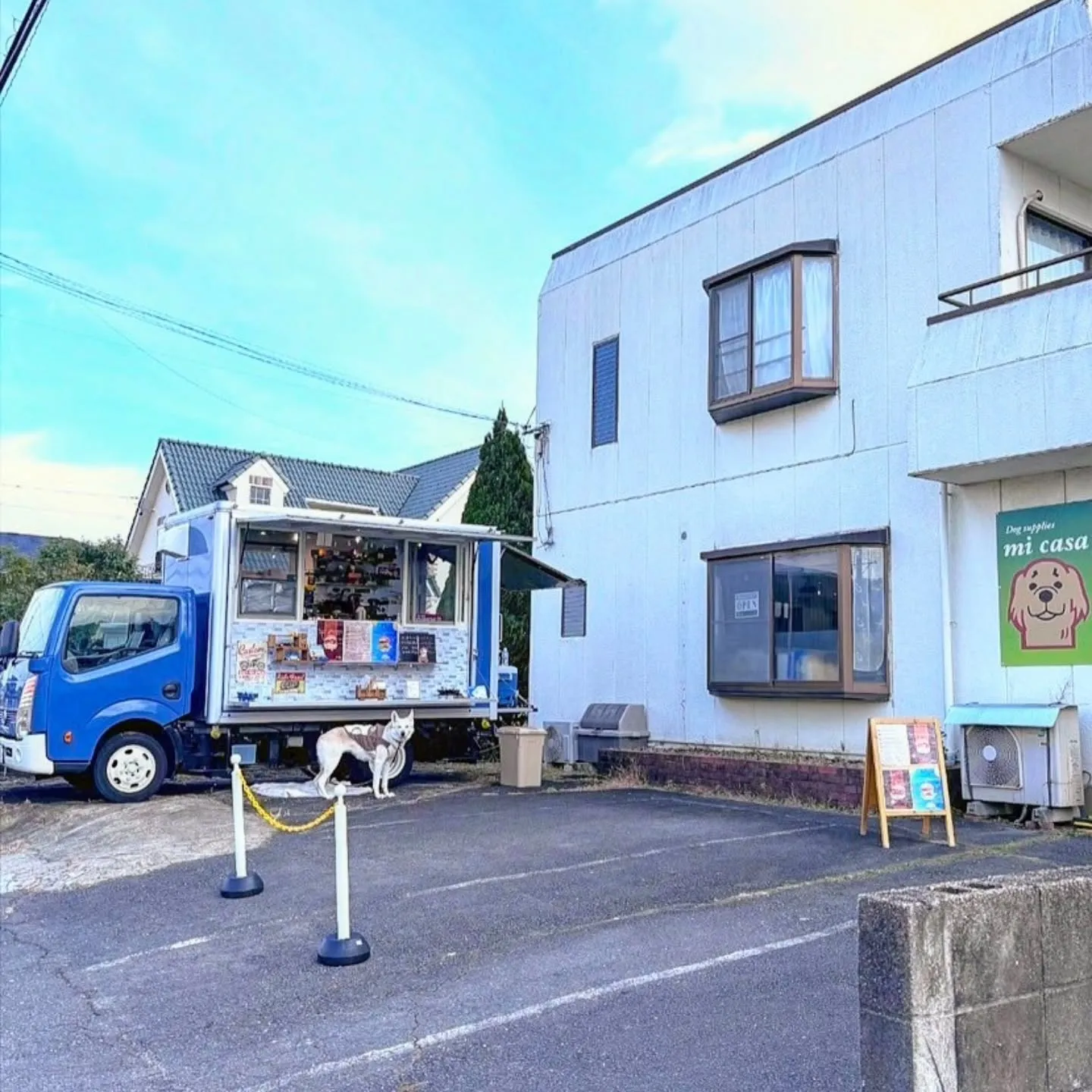 6/19（木）〜6/23（月）の出店予定(^^♪