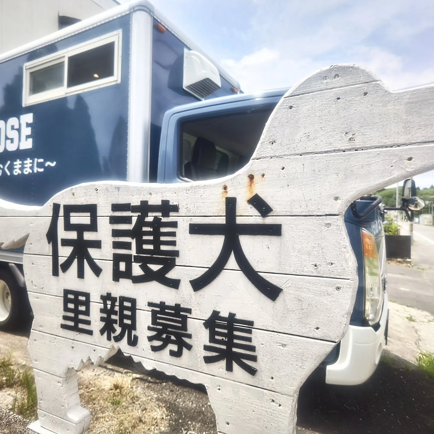 6/21.22の2日間保護犬カフェミカサ様　　@mi_cas...