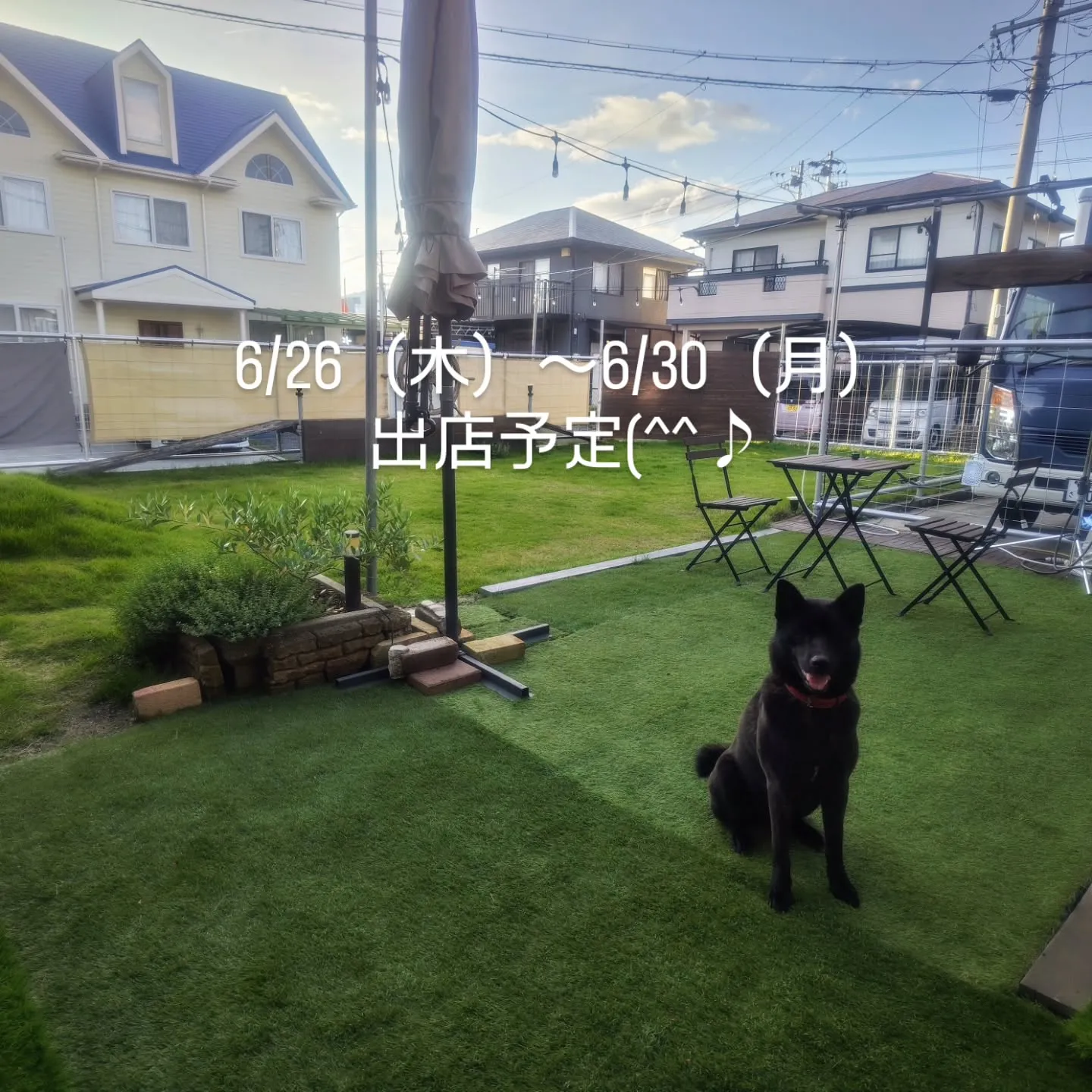 6/26（木）〜6/30（月）出店予定(^^♪