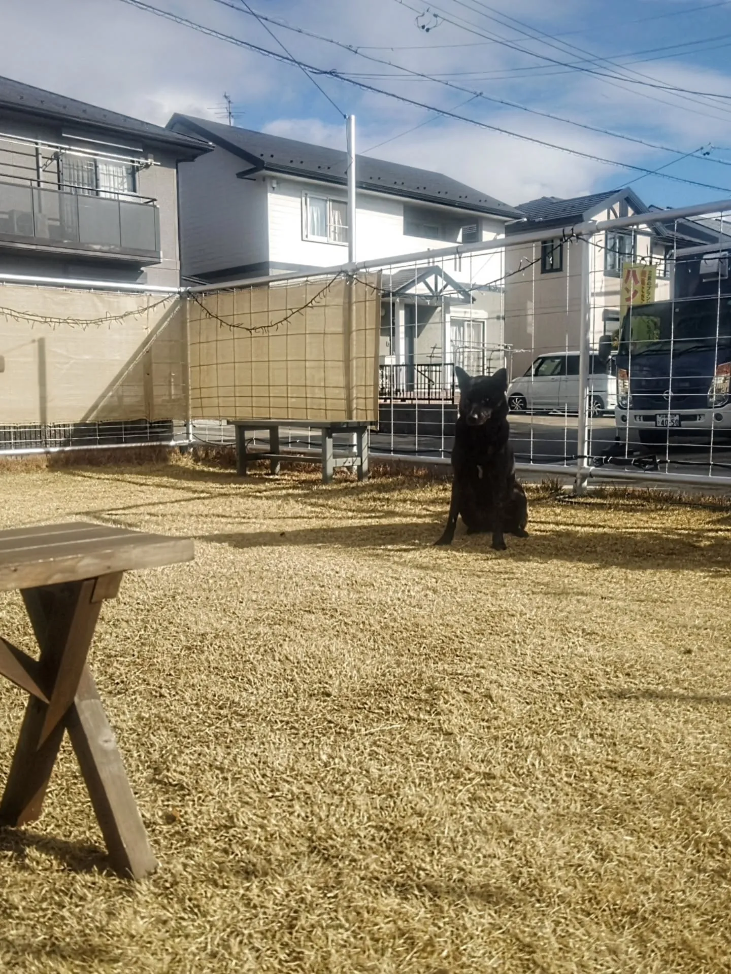 1/10(土)自宅ドッグラン前駐車場で今年初営業します(^^...