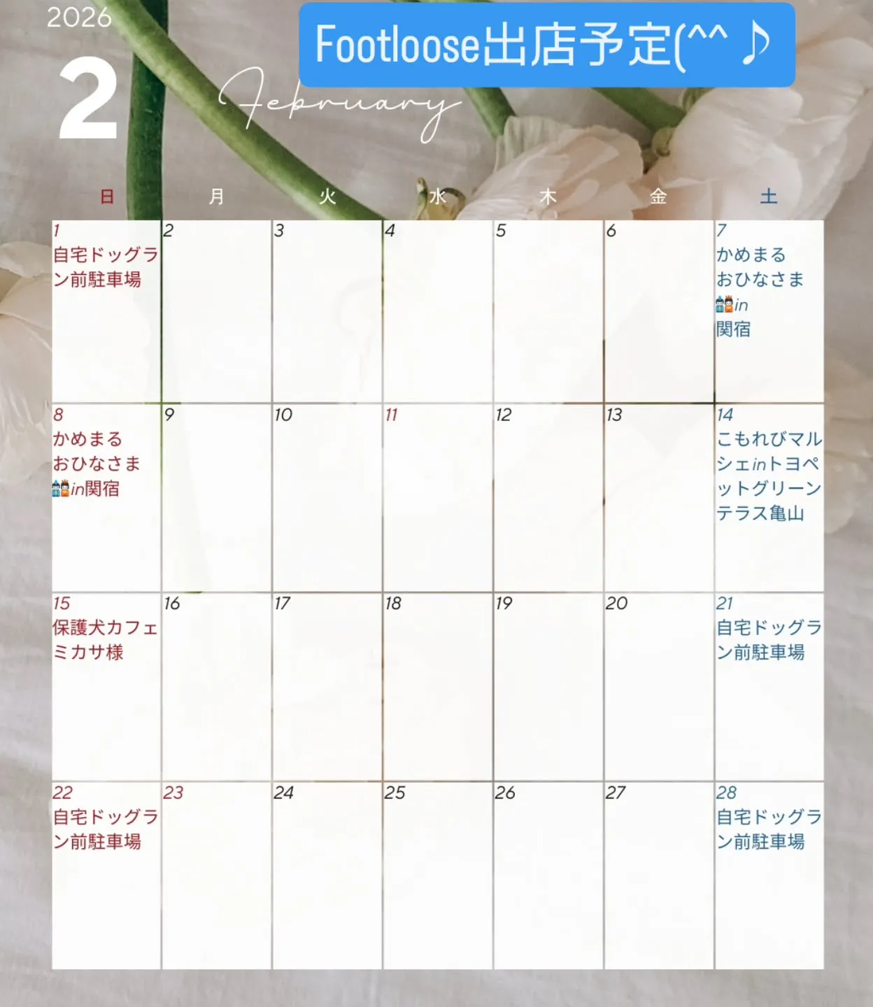 2月出店予定(^^♪